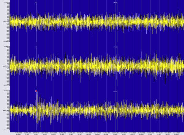 3 component seismometer recordings at Santa Margarita Ecological Reserve ( filterd to 0.3-8.0 BP )